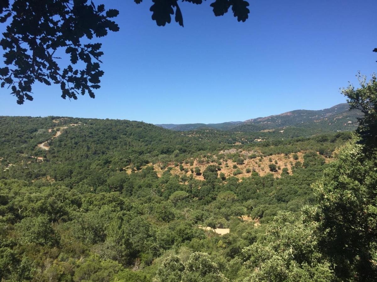 Bed and Breakfast Les Aurochs Grimaud Esterno foto